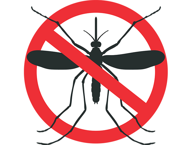 Mosquito web banner 